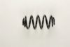 OPEL 424091 Coil Spring